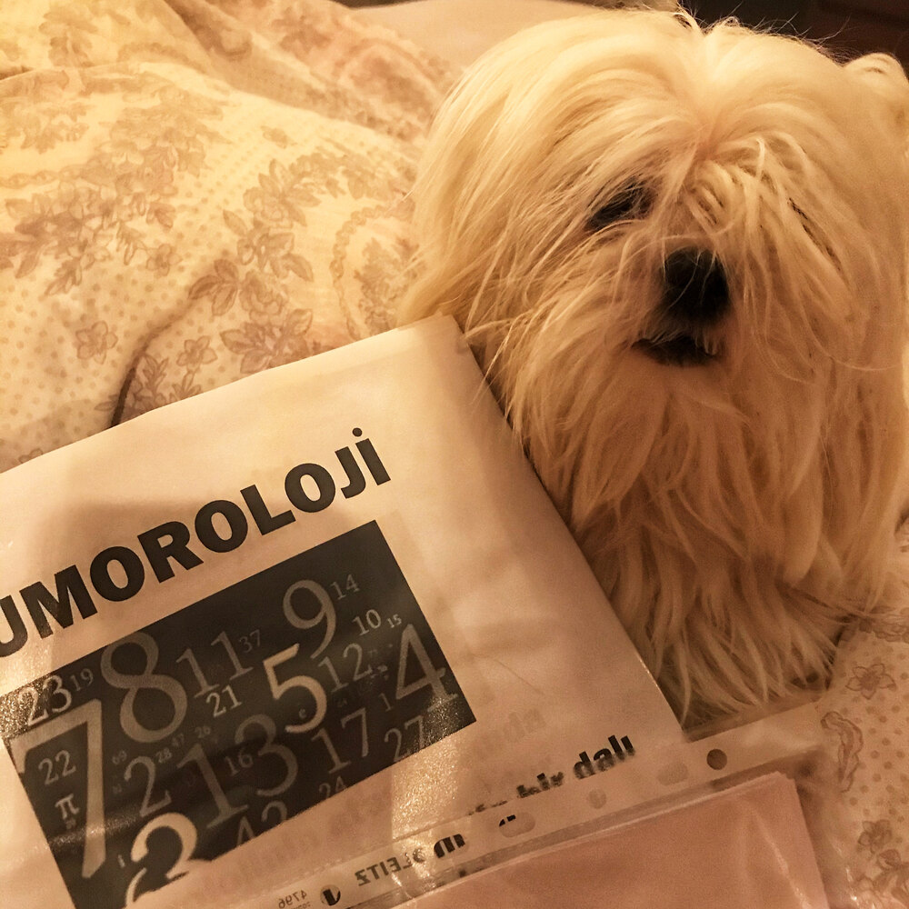 Numeroloji analizi ve pandülle soru-cevap 