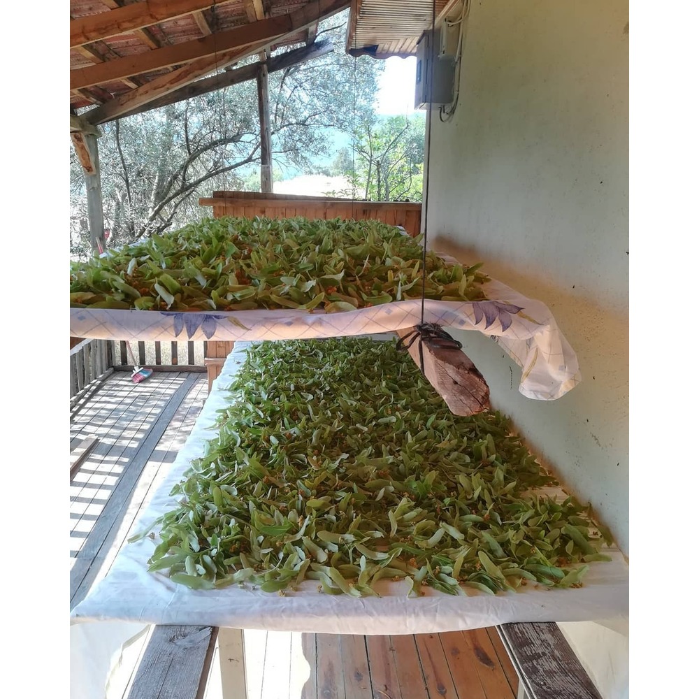 Doğal Ihlamur 50 gram Yeni Hasat