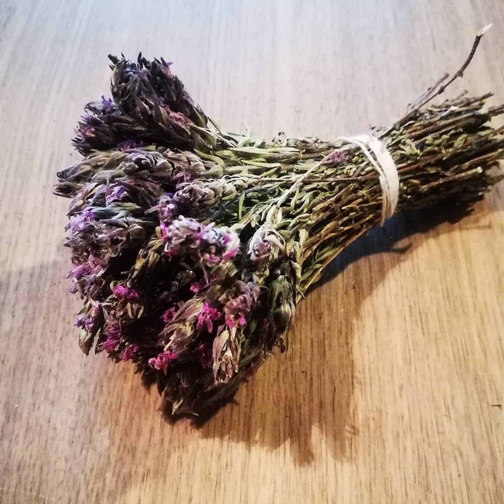 Mor Kekik - Thymbra spicata - Başak Demet