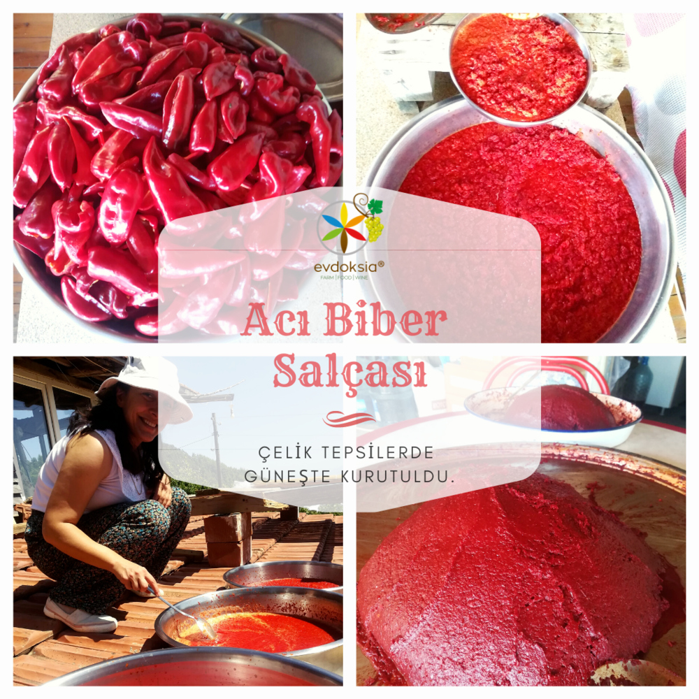 Biber Salçası - Güneşte Kurutulmuş