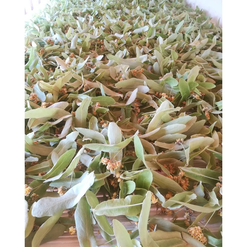 Doğal Ihlamur 50 gram Yeni Hasat