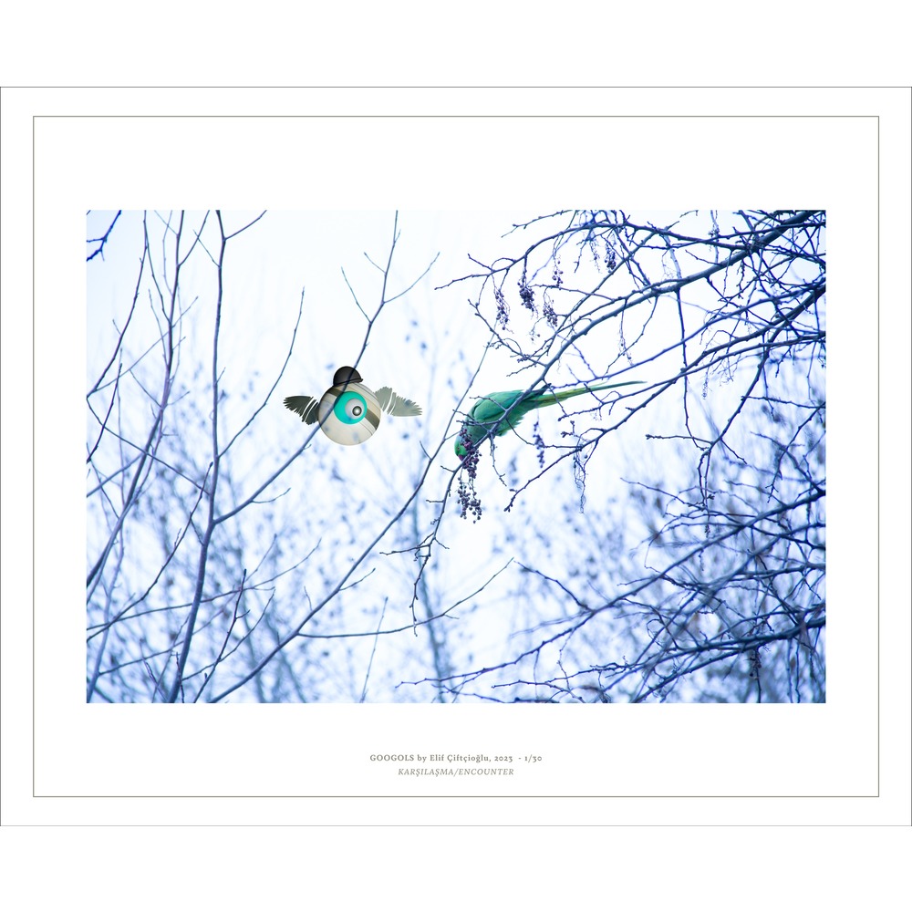 Artprint / Karşılaşma