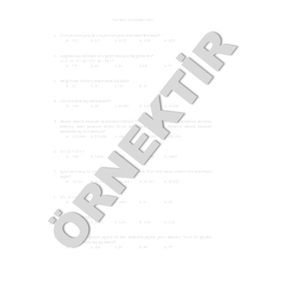 Sayısal Kavrama Testi