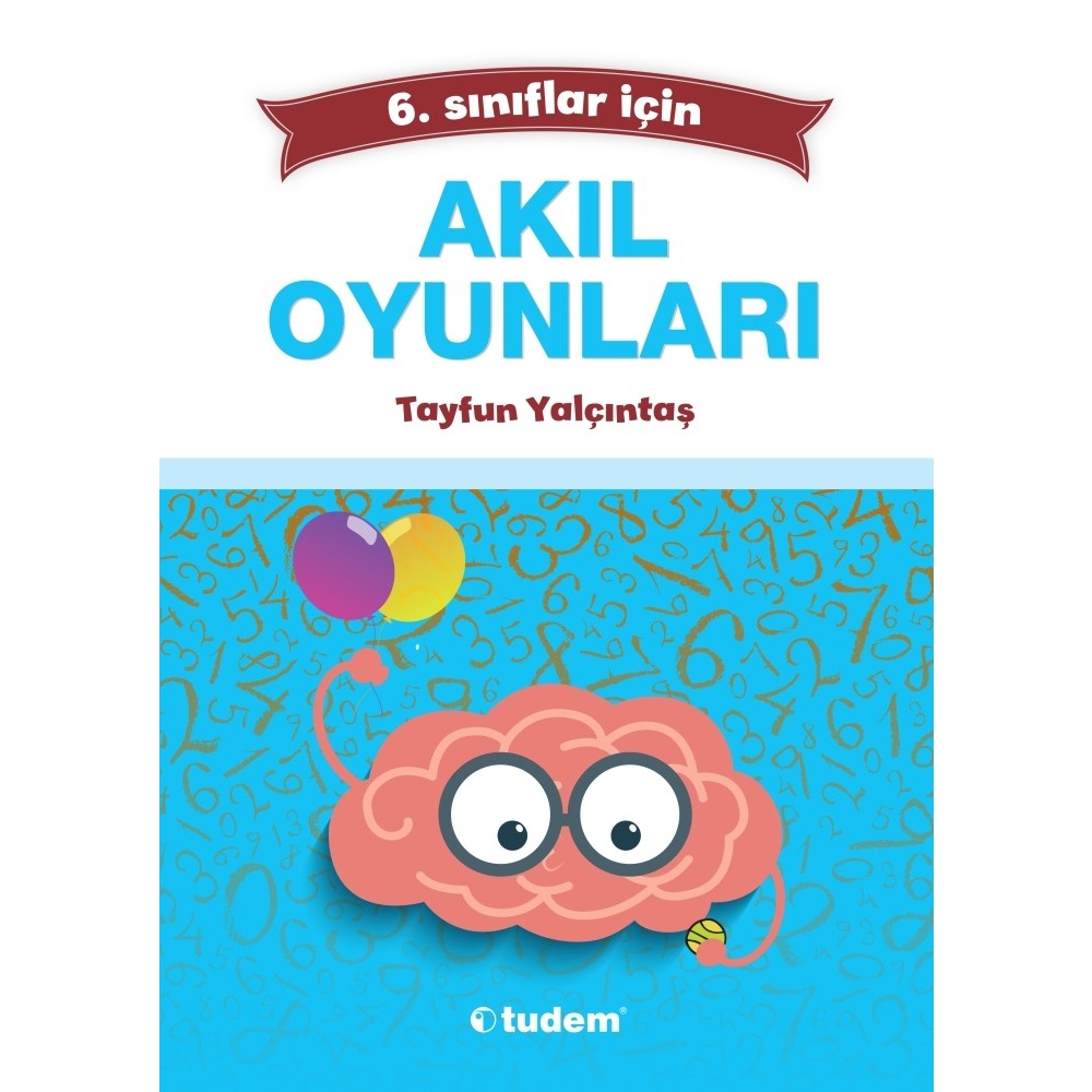 Akıl Oyunları 6. Sınıf