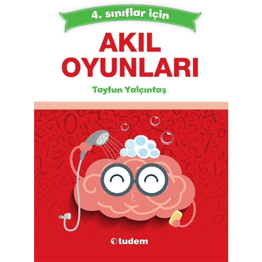 Akıl Oyunları 4. Sınıf