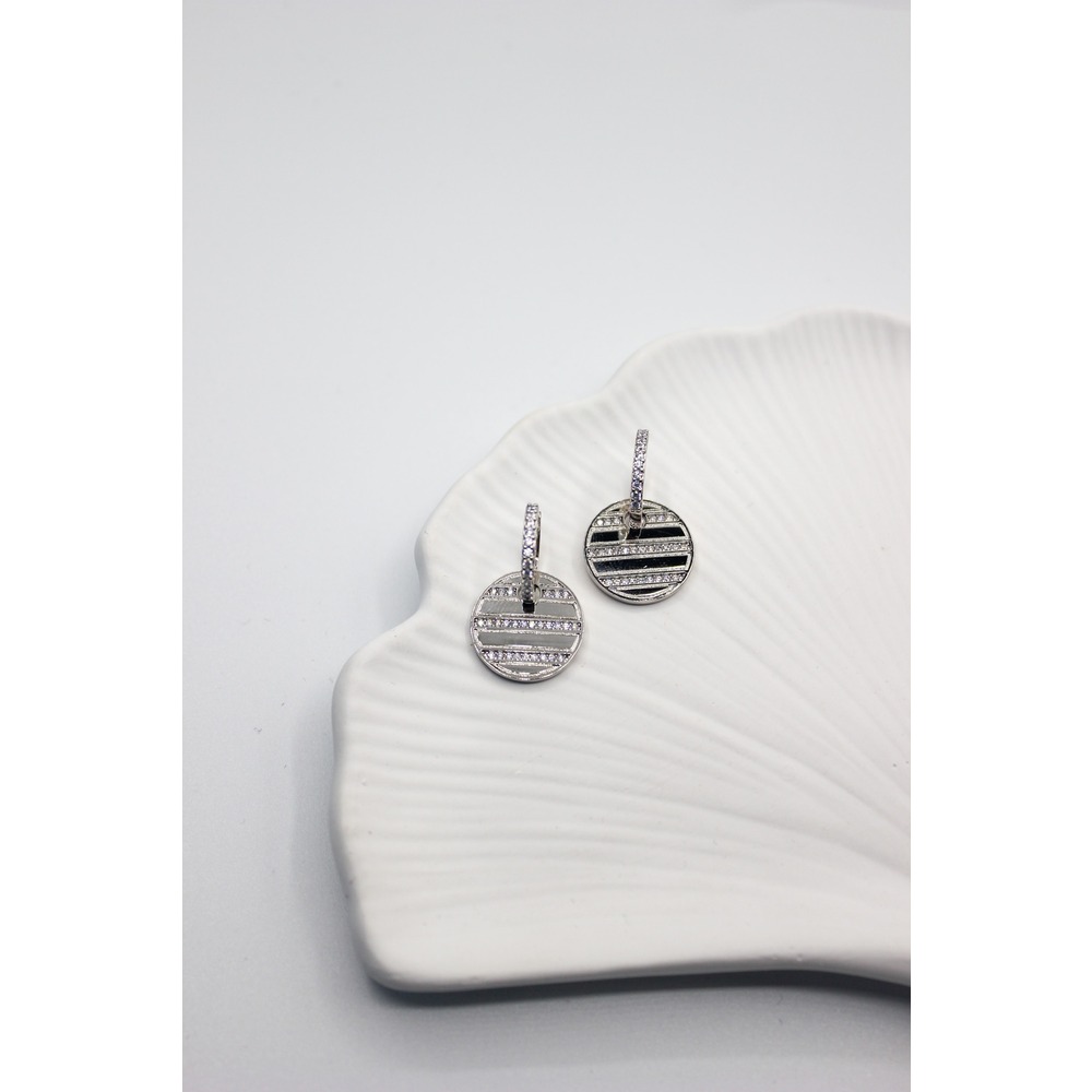Shine Steel Earring