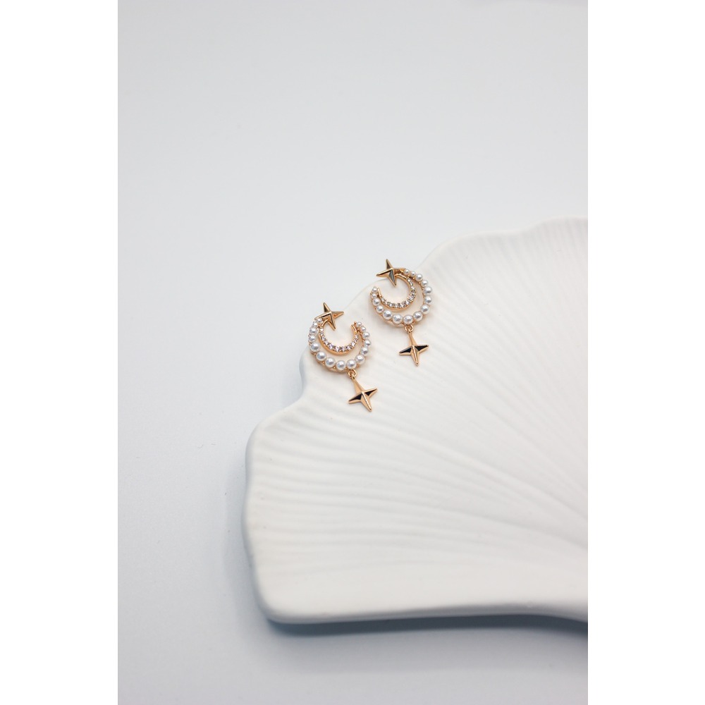 Ay Yıldız Steel Earring