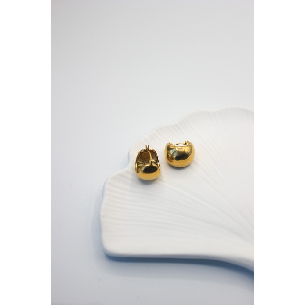 Mood Steel Earring