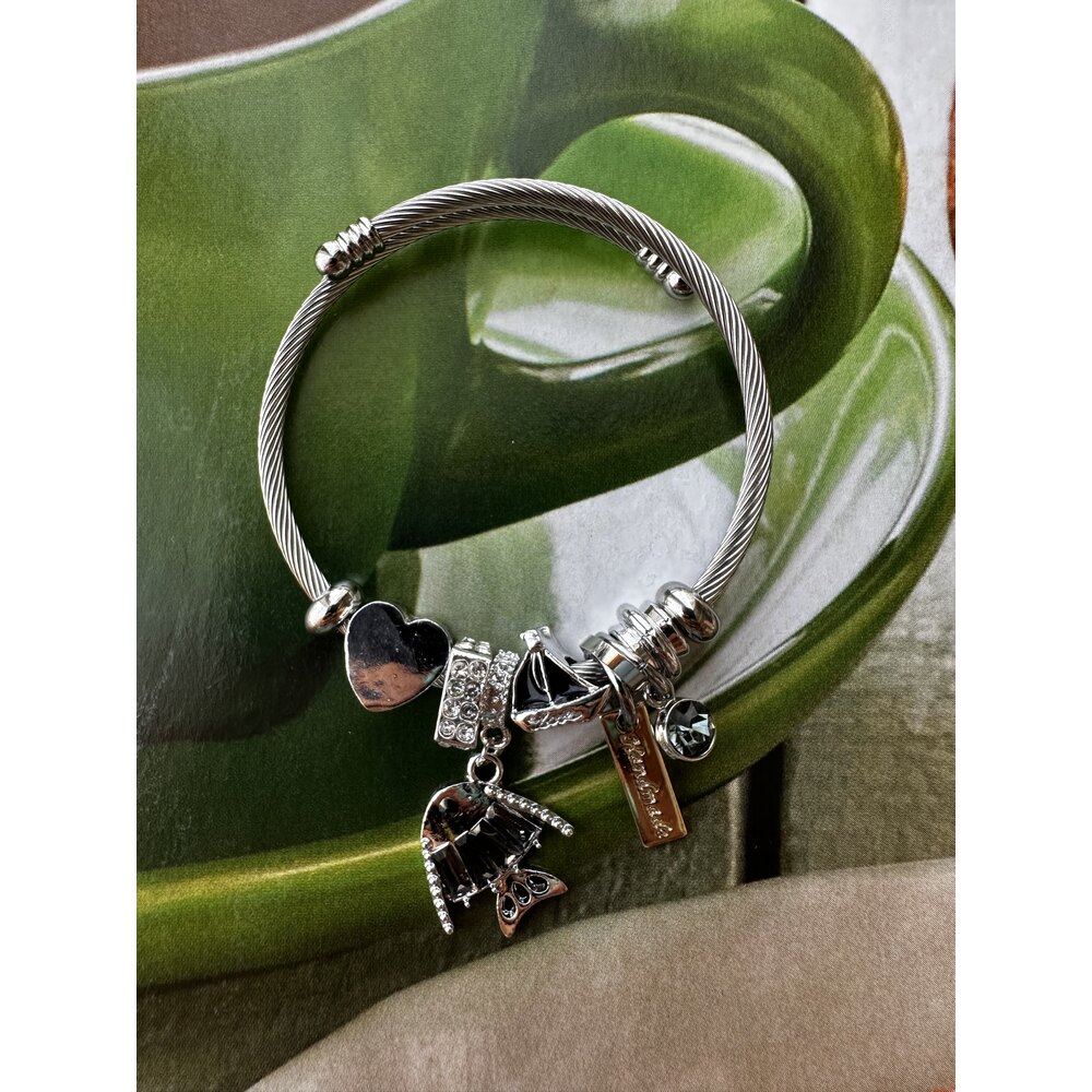 Pandora Model Siyah Balık Charm Çelik Bileklik