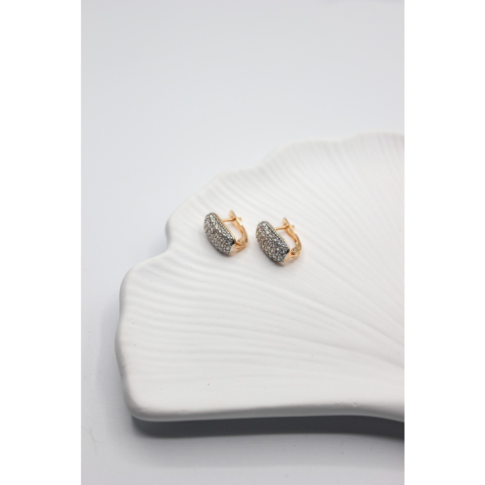Diamondly Steel Earring