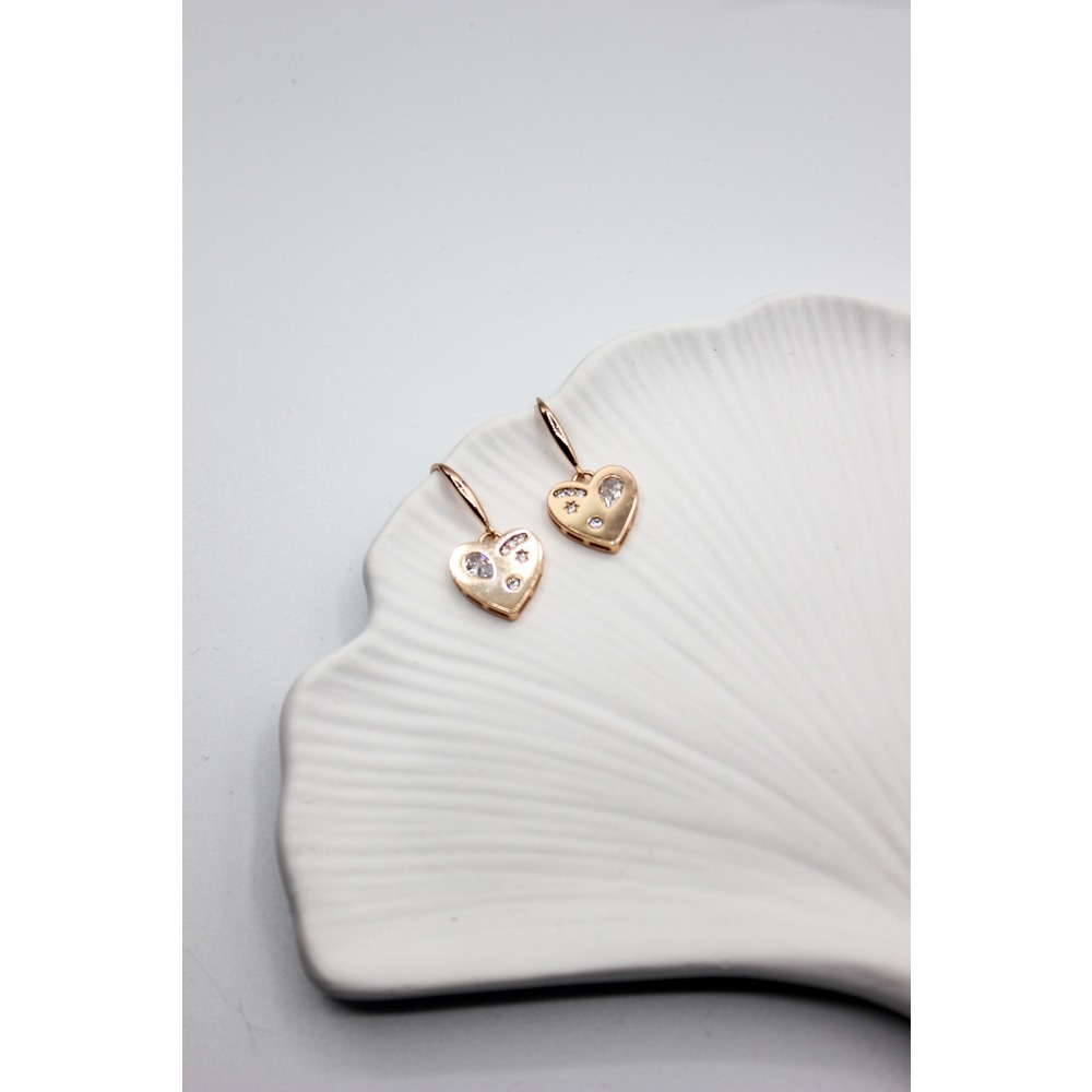 Lovely Steel Earring