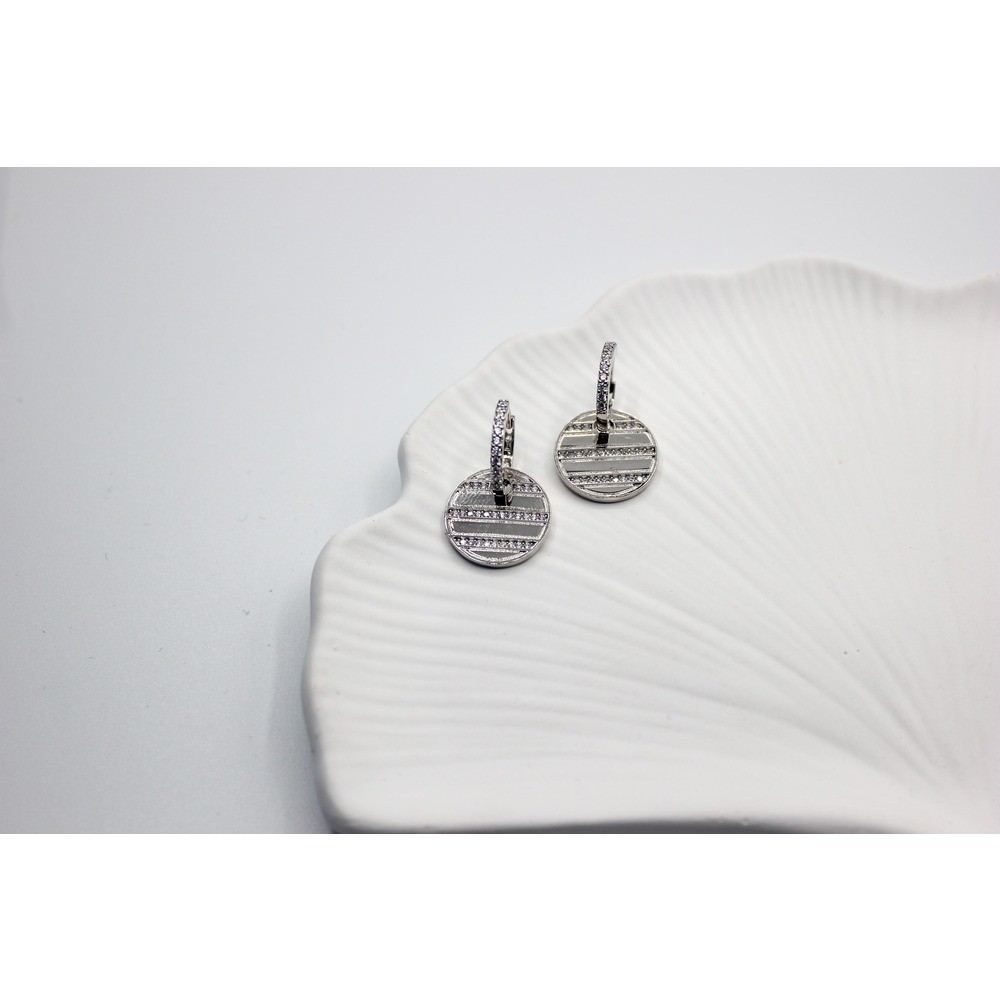 Shine Steel Earring