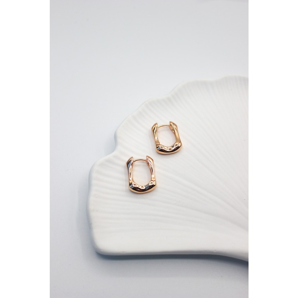 World Steel Earring