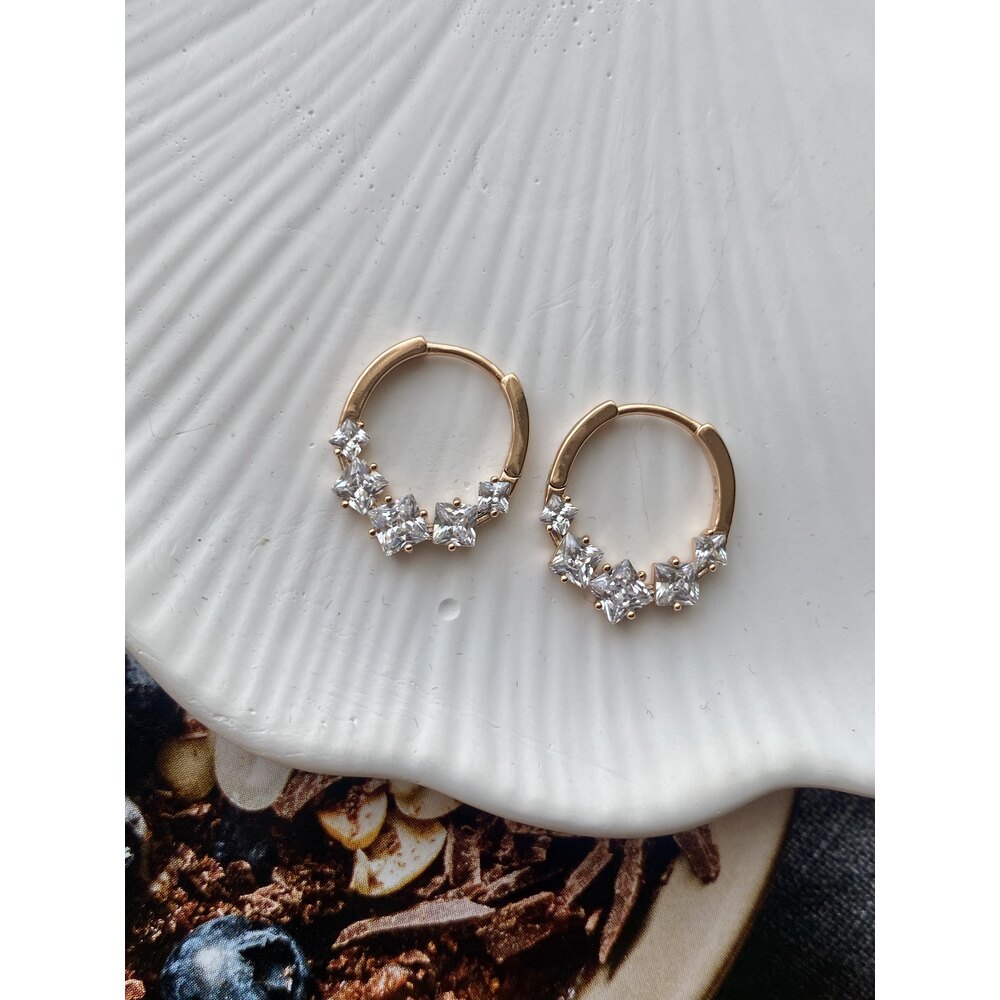 Swarovski Çelik Küpe 