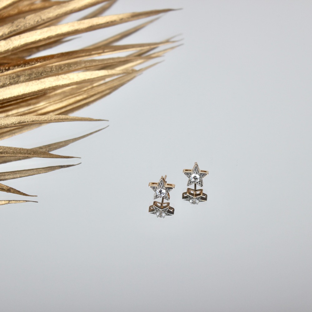 Star Steel Earring