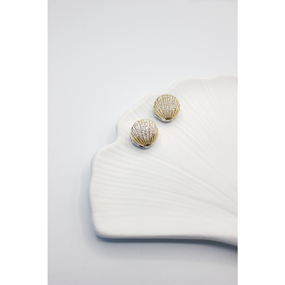 Clam Steel Earring