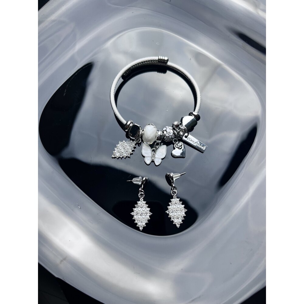 Pandora Model Kelebek Charm Çelik Küpe Bileklik Set