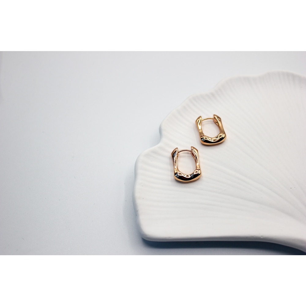 World Steel Earring