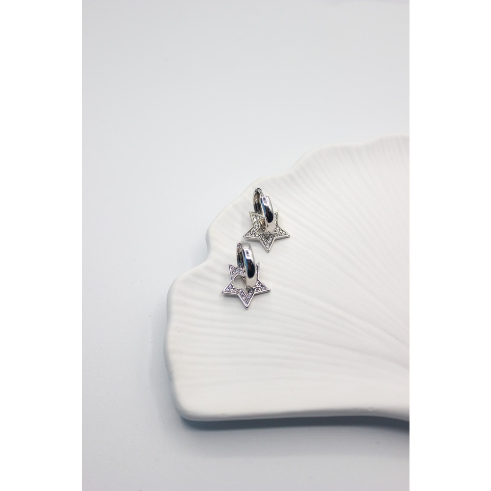 Star Line Steel Earring