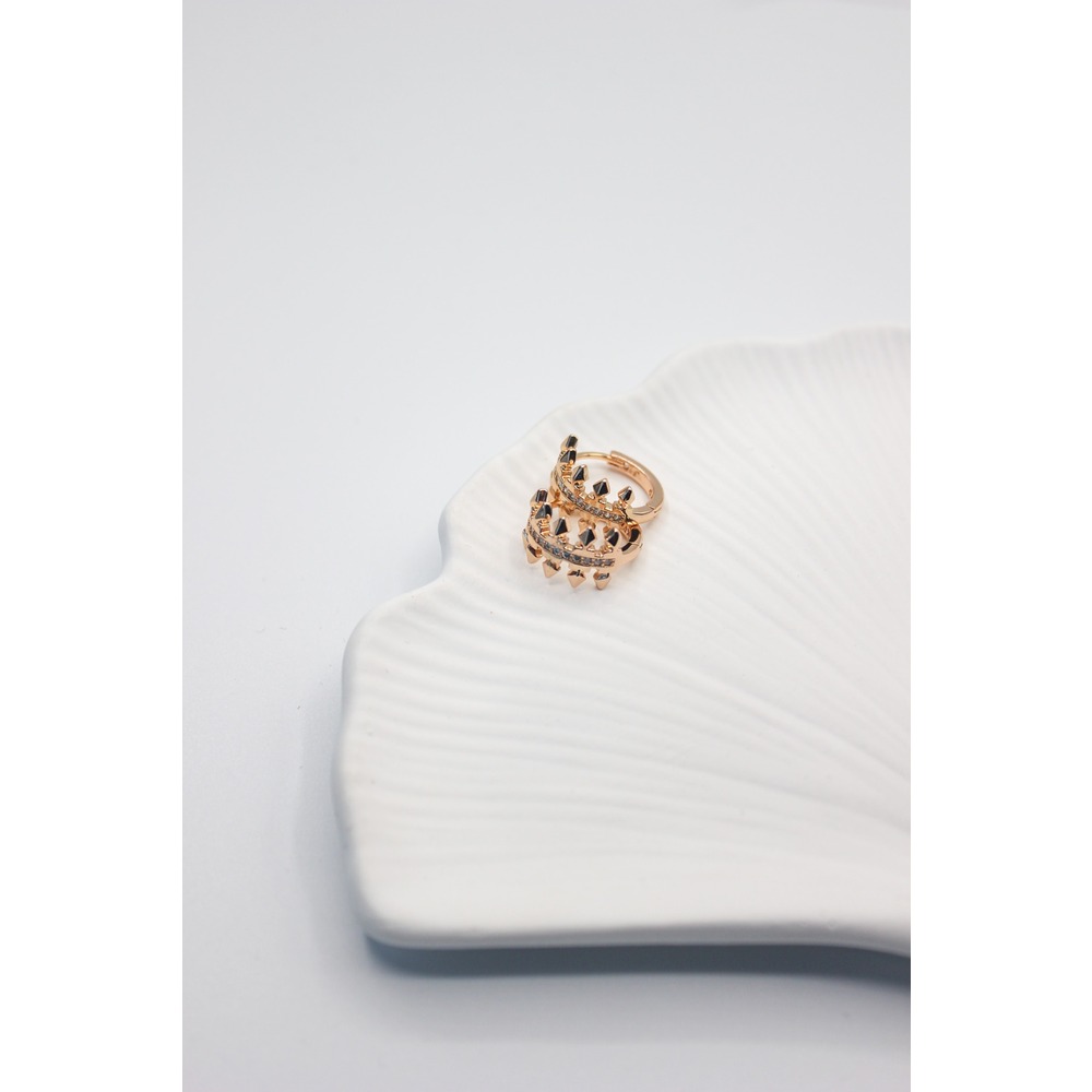 Steel Earring