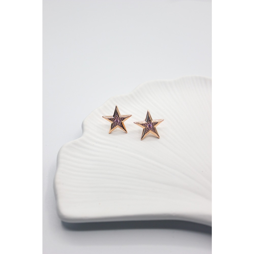 Starline Steel Earring