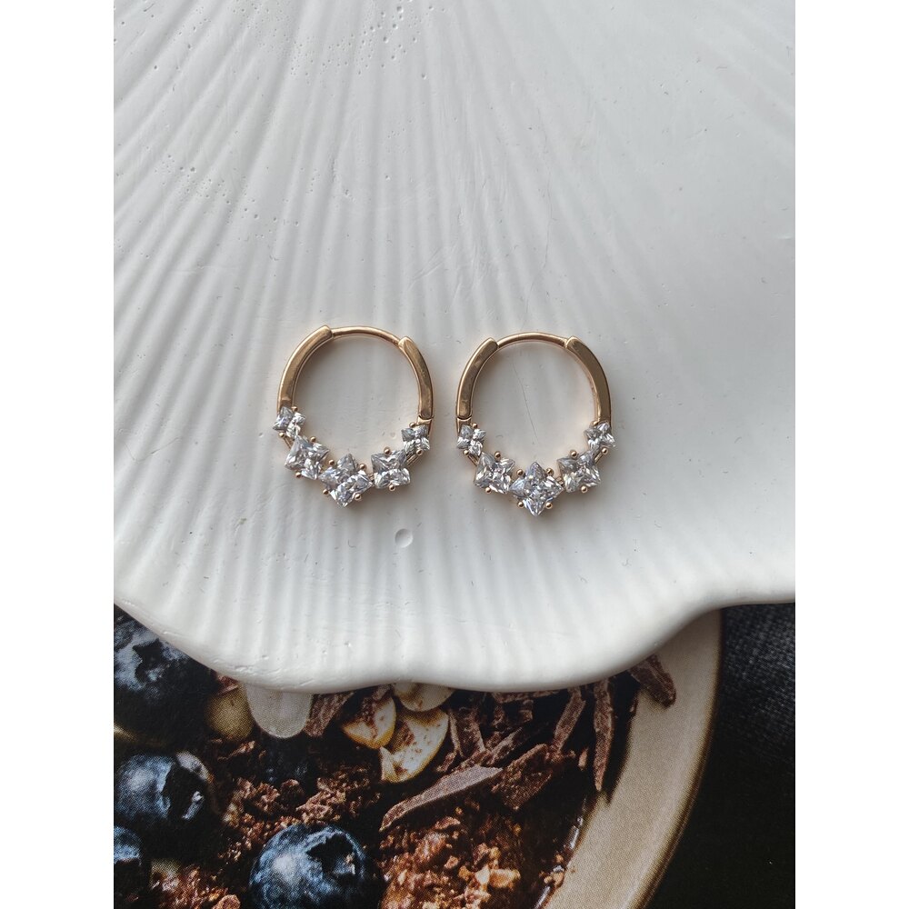 Swarovski Çelik Küpe 