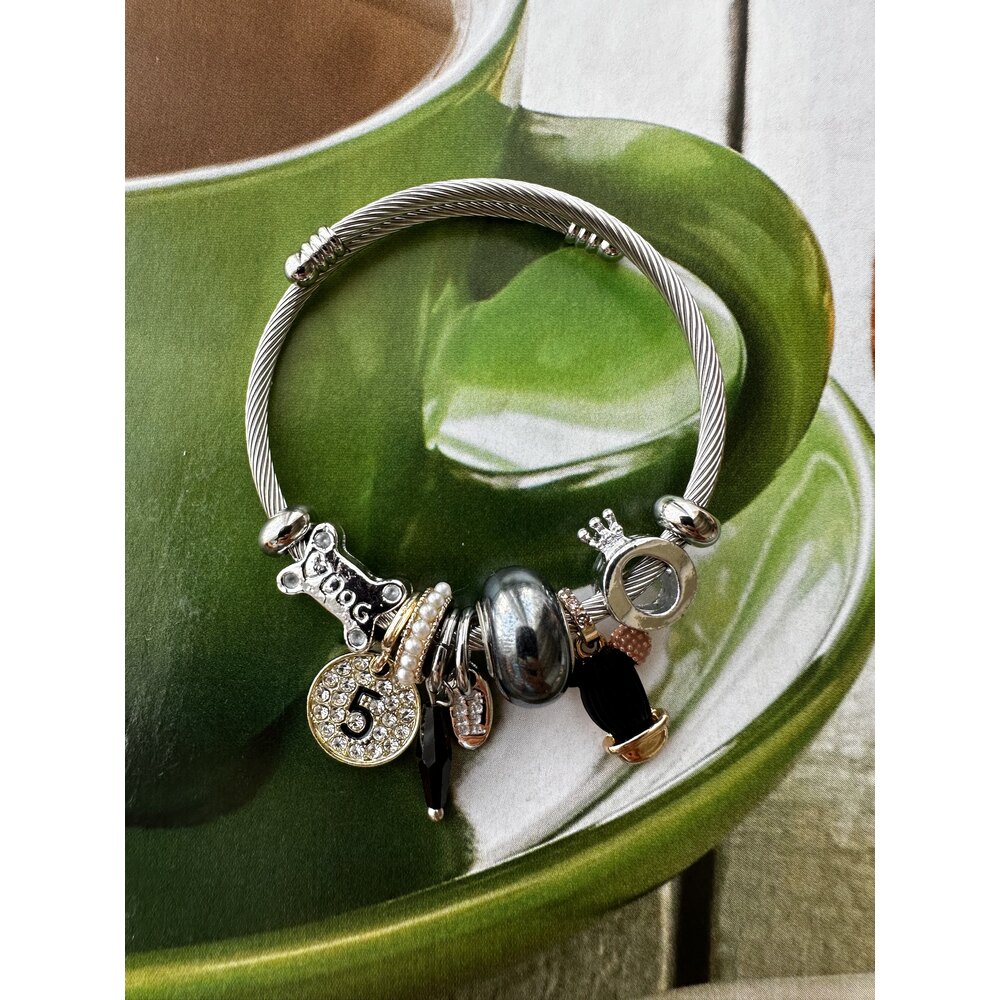Pandora Model Kaktüs Charm Çelik Bileklik