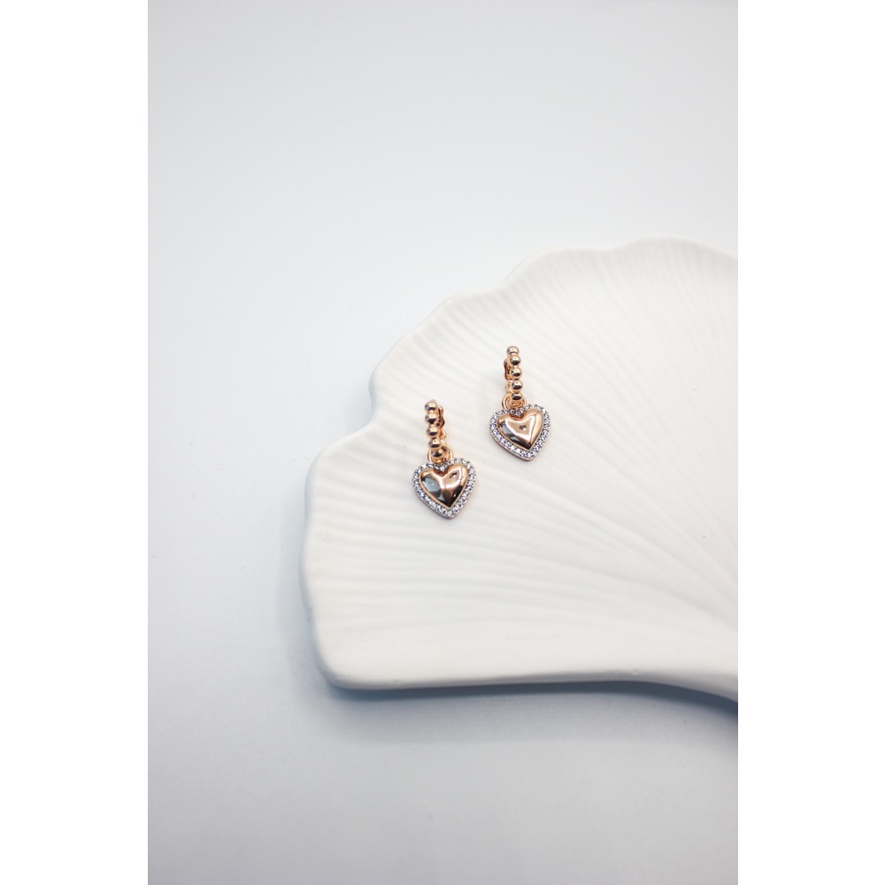 Love Steel Earring