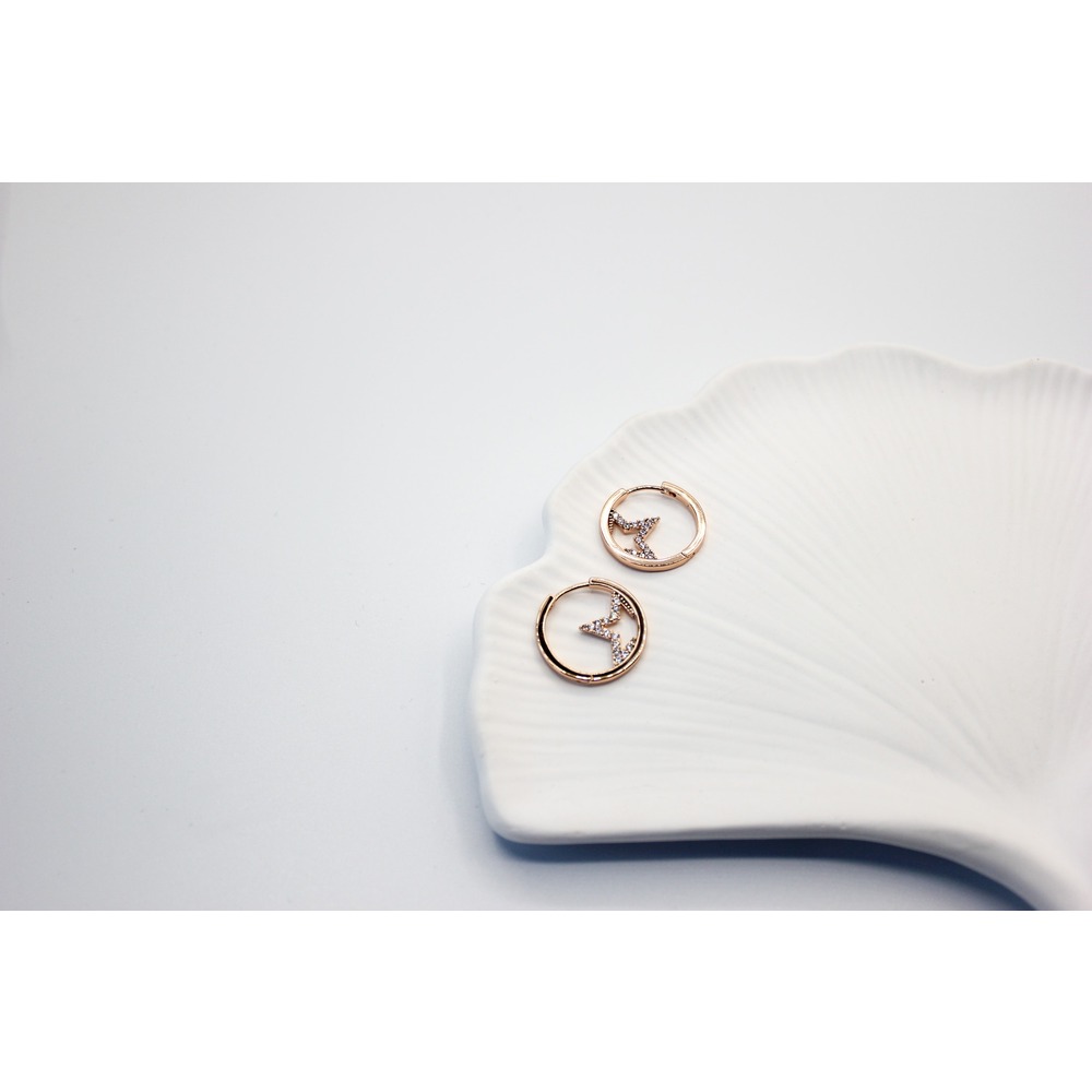 Star Steel Earring