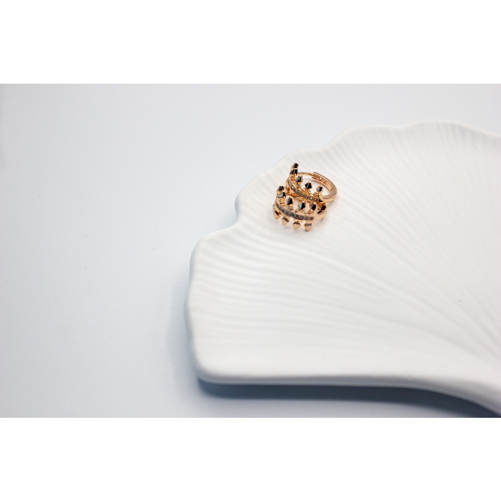 Steel Earring
