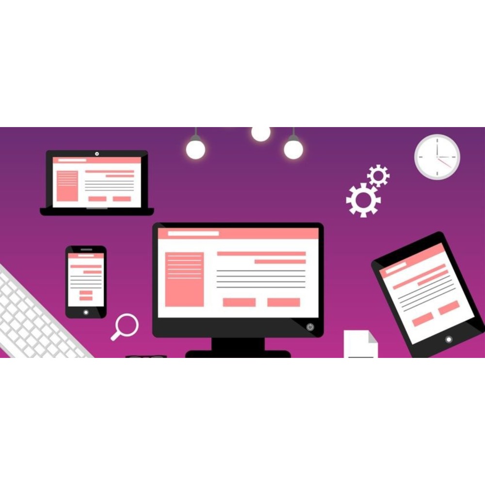 Website Paket Tasarım