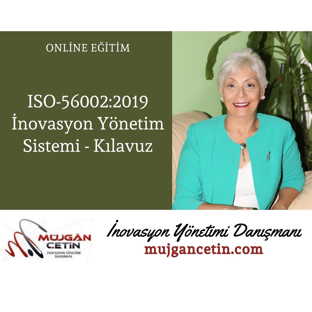 ISO-56002:2019 İnovasyon Yöneitm Sistemi - Kılavuz Standart Eğitimi