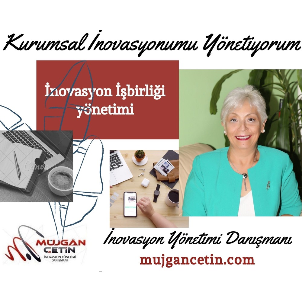 İnovasyon İşbriliği Yönetimi