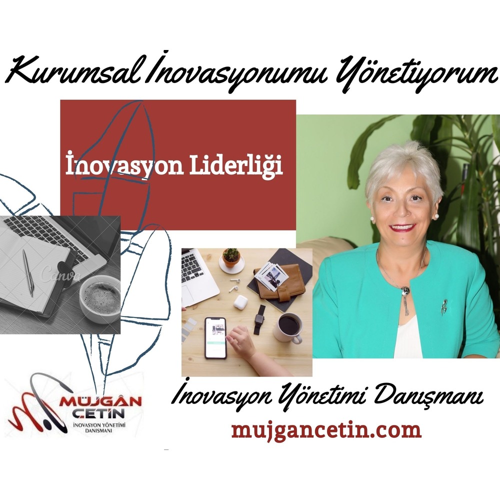 İnovasyon Liderliği