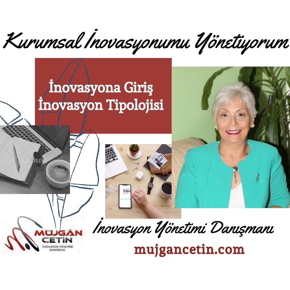 İnovasyona Giriş - İnovasyon Tipolojisi