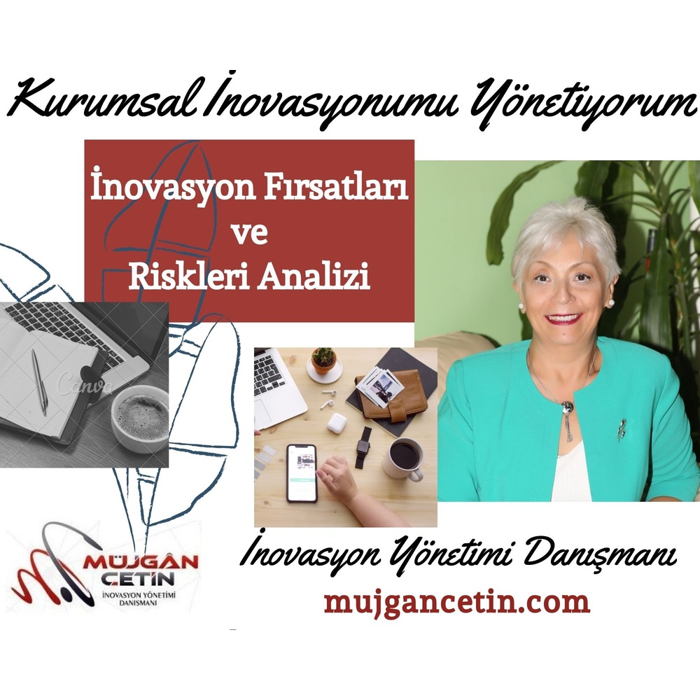 İnovasyon Fırsatları  ve Riskleri Değerlendirme