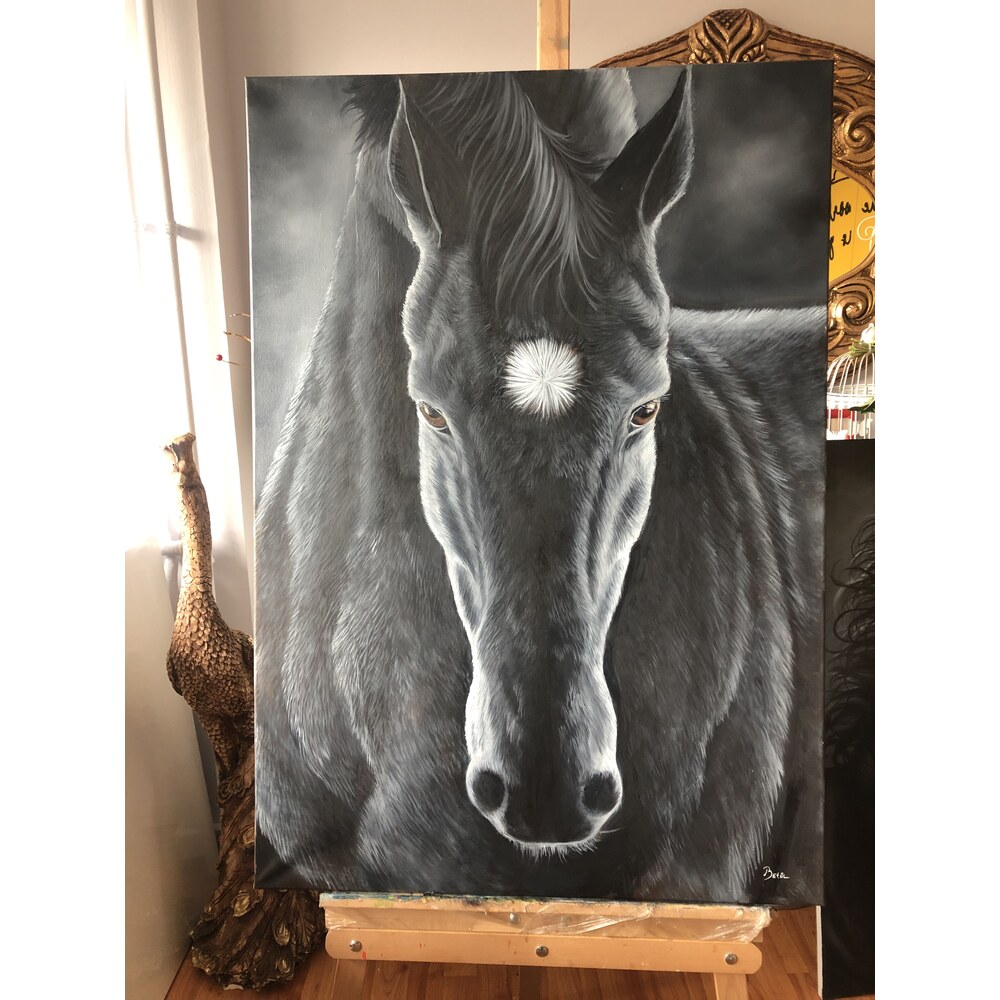  black horse