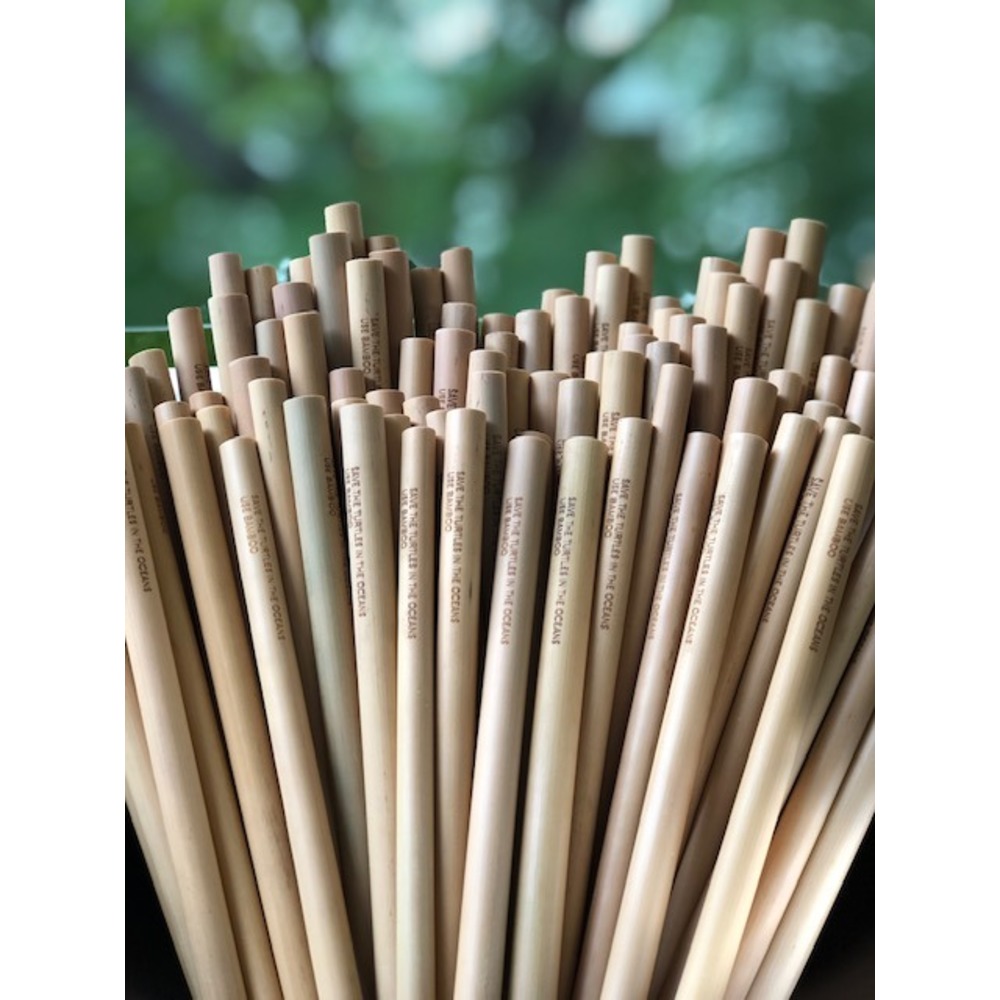 Bambu pipet (Save the turtles)