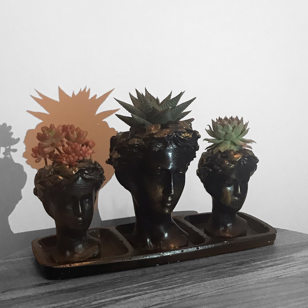 3’lü Helen Büst Saksı Set ( Bitkili )