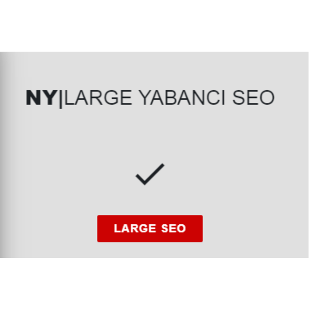 NY|LARGE YABANCI SEO