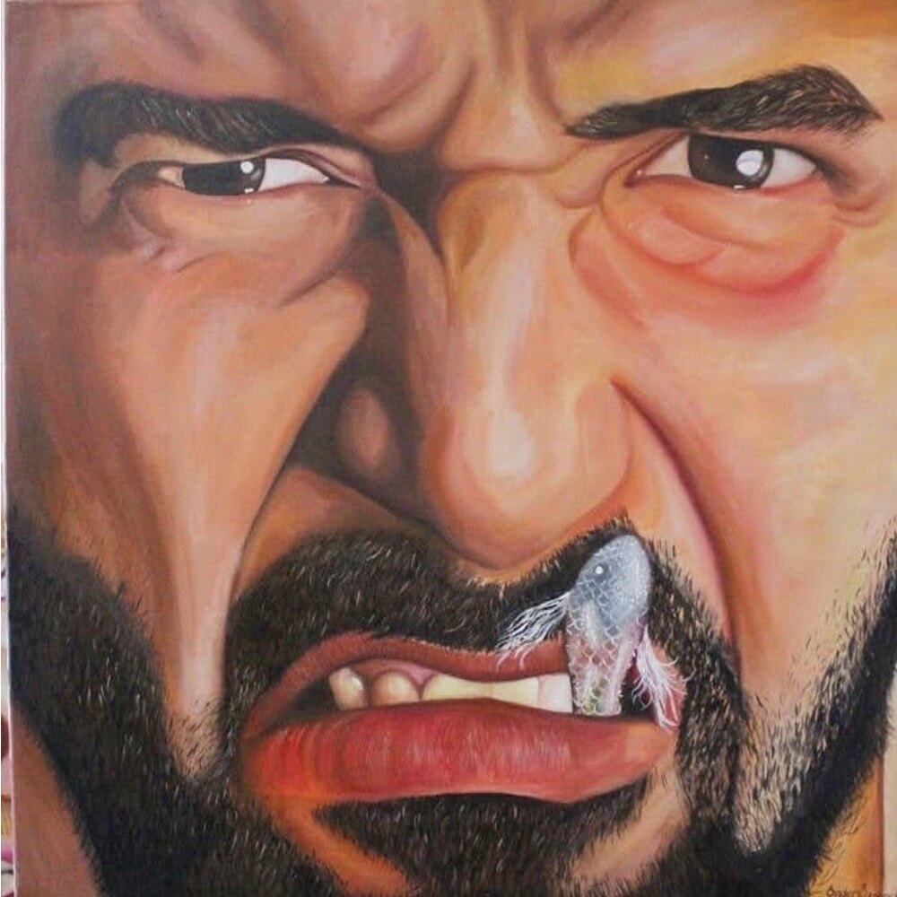 Sessiz Çığlık