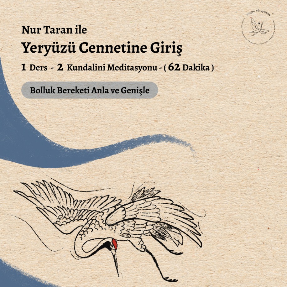 Yeryüzü Cennetine Giriş Arşiv Kayıtları