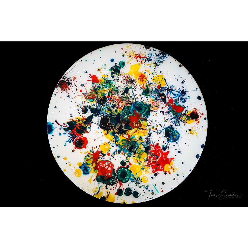Jackson Pollock Jr. 