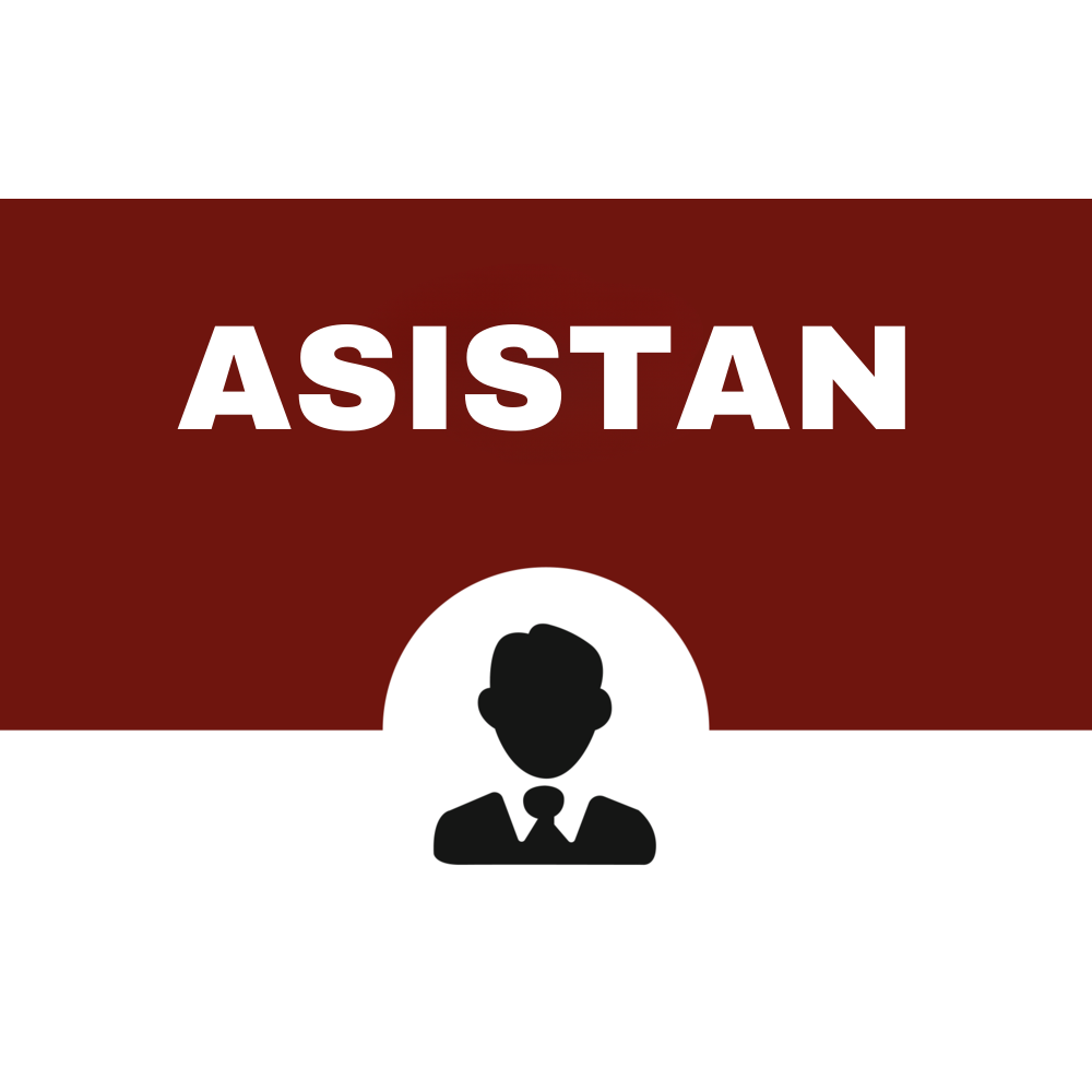 PHOENIX ASISTAN [Aylık]