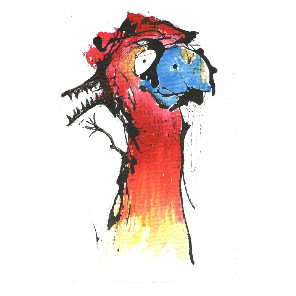 DoDo