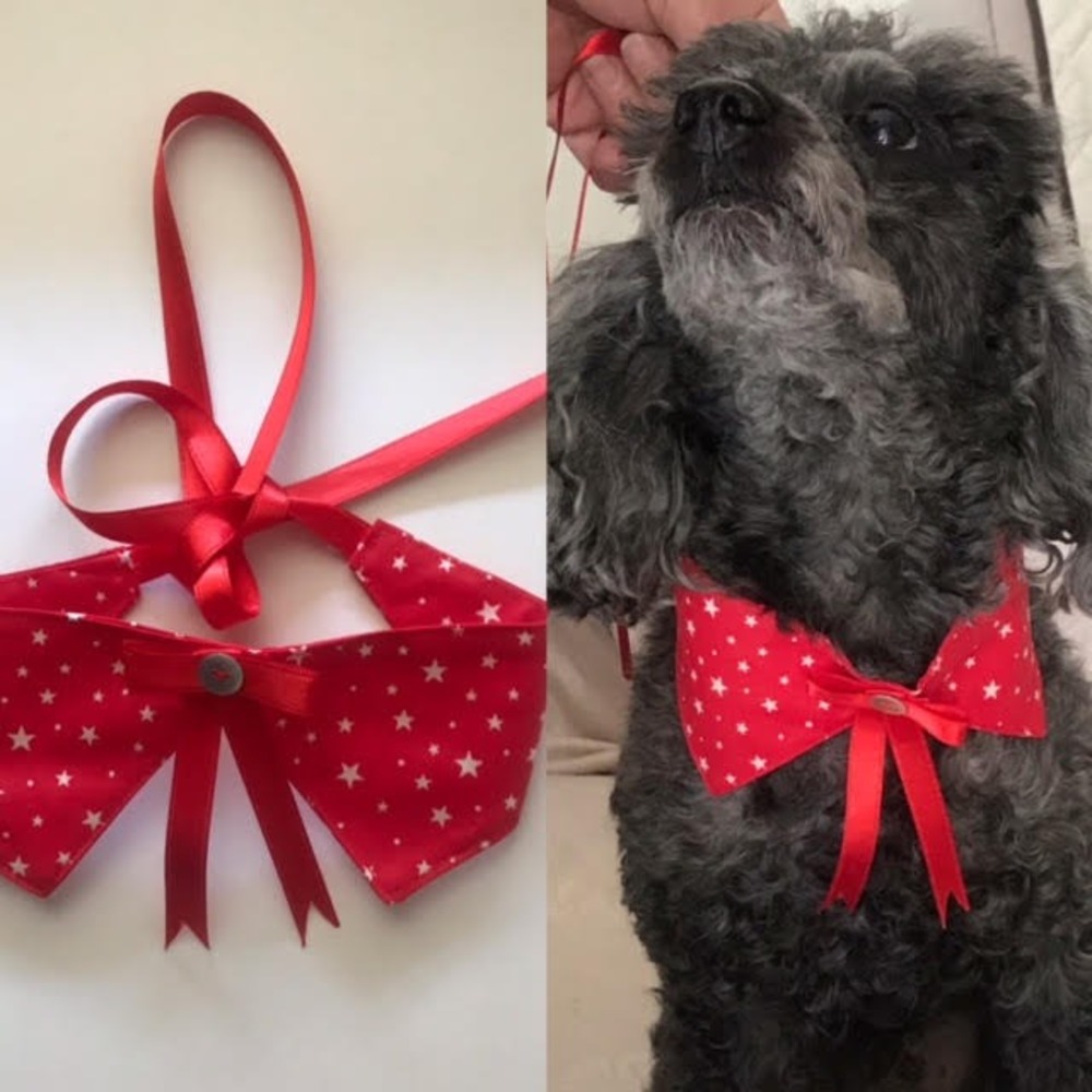 KÖPEK VE KEDİ FULARI