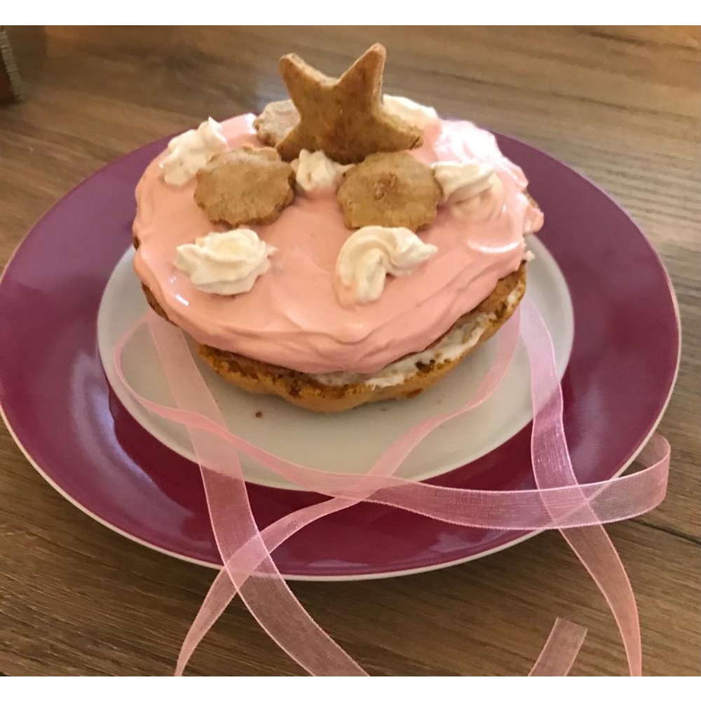 KÖPEK DOĞUMGÜNÜ PASTASI
