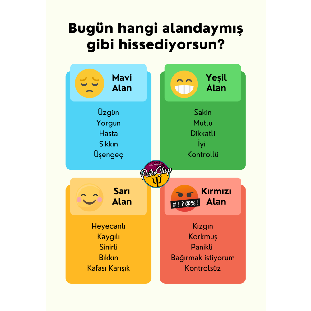 Duygu Alanı Çalışması