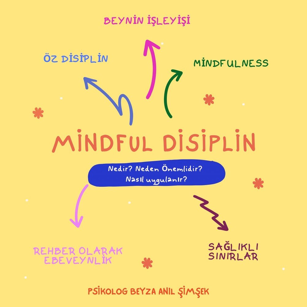 Mindful disiplin - 15 Nisan Atölye Kaydı