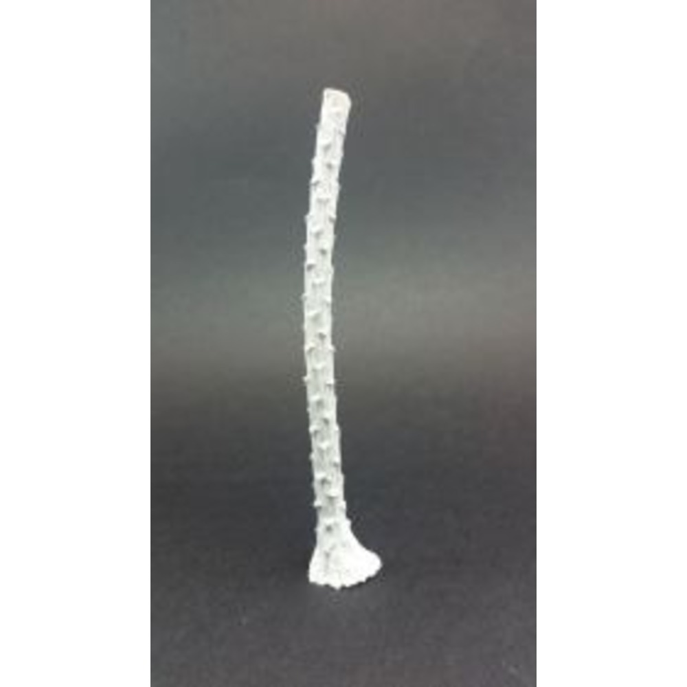 1/35 Palmiye Ağaç Gövdesi (Resin)